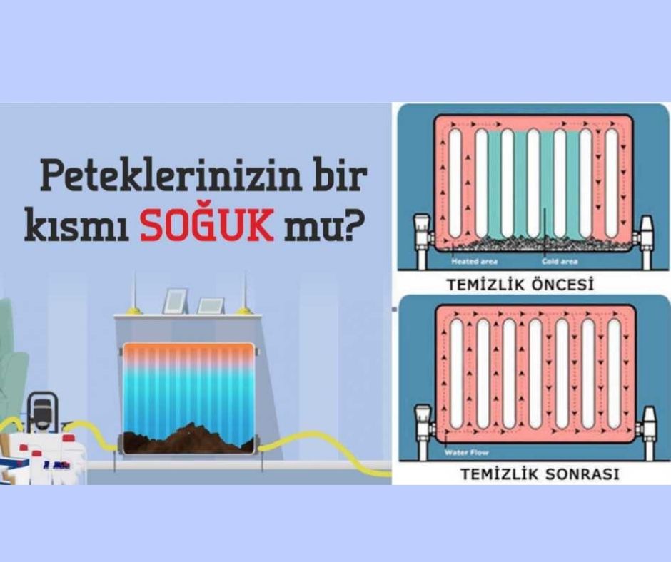 Tatvan Petek Temizleme